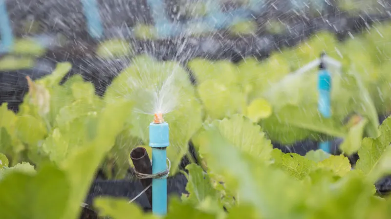 EFFICIENT WATER USE IN THE AGRICULTURAL SECTOR (AGAU020PO)