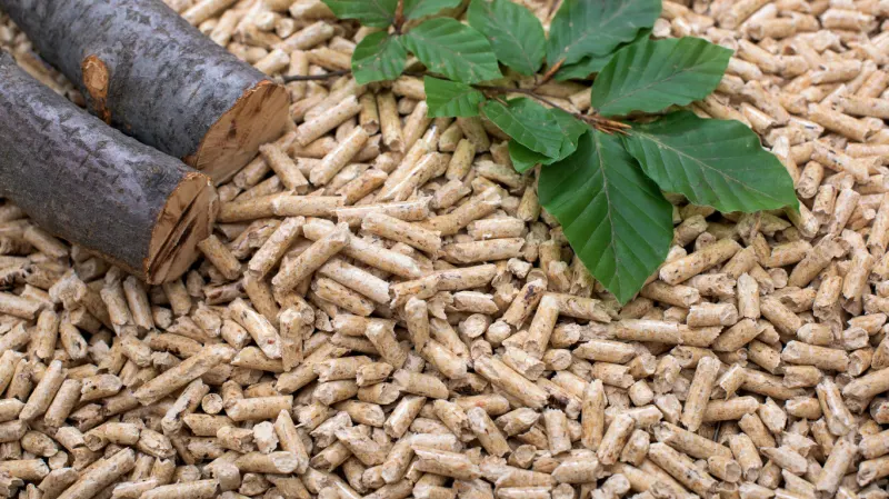 RENEWABLE ENERGY: BIOMASS SPECIALISATION (ENAE010PO)