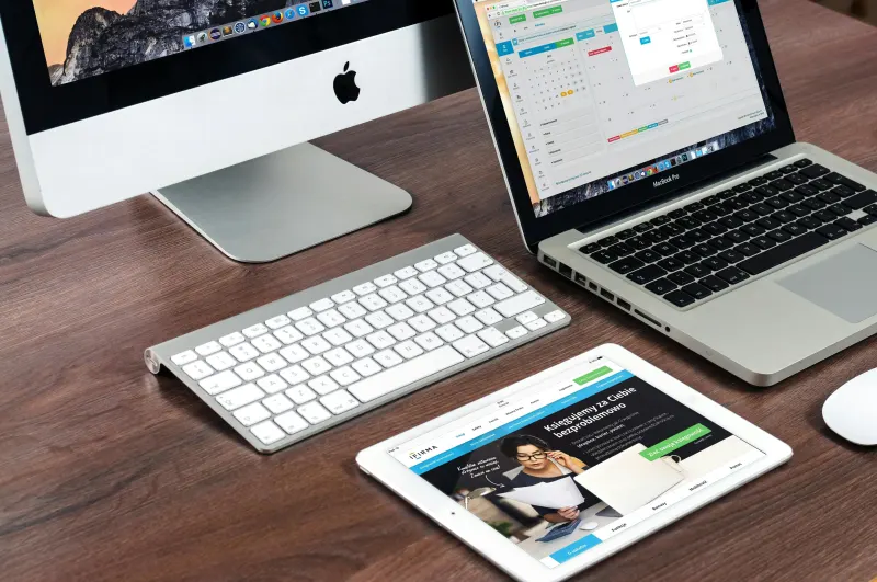 WEB AND MULTIMEDIA EXPERT FOR E-COMMERCE II (IFCD023PO)