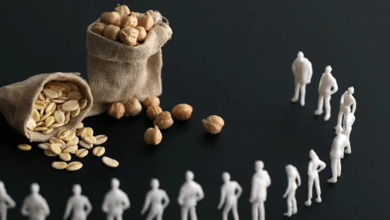 FOOD CRISIS MANAGEMENT (INAD018PO)
