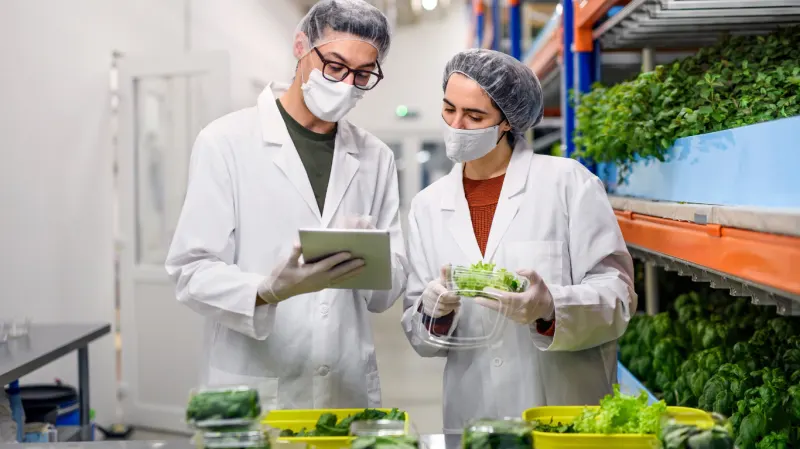 FOOD SAFETY MANAGEMENT SYSTEMS (INAD019PO)