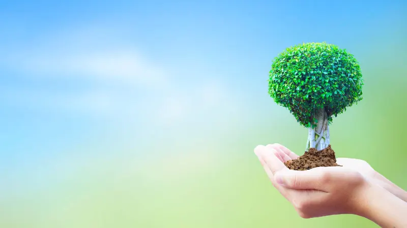 ENVIRONMENTAL SUSTAINABILITY (SEAG008PO)